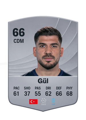 Gül - 66 - Common