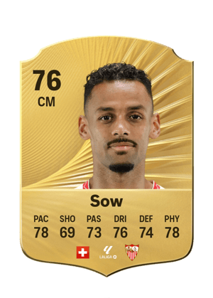 Sow - 76 - Rare