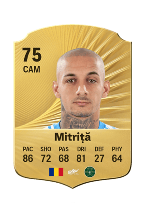 Mitriță - 75 - Rare
