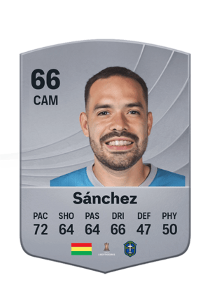 Sánchez - 66 - Common