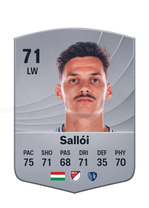 Sallói - 71 - Common