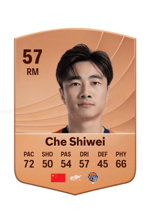Che Shiwei - 57 - Common