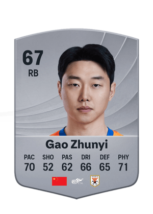 Gao Zhunyi - 67 - Common