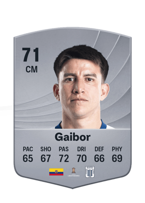 Gaibor - 71 - Common