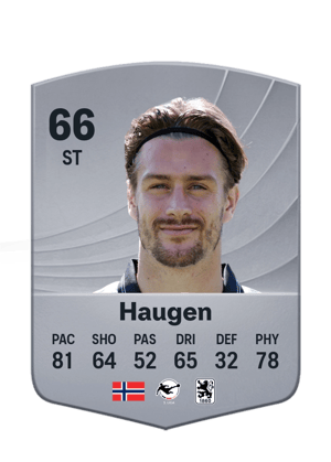 Haugen - 66 - Common