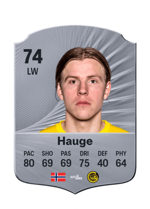 Hauge - 74 - Rare