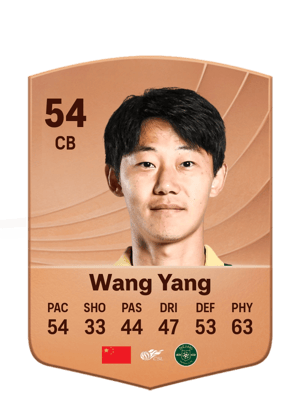 Wang Yang - 54 - Common