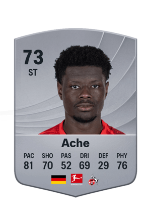 Ache - 73 - Common