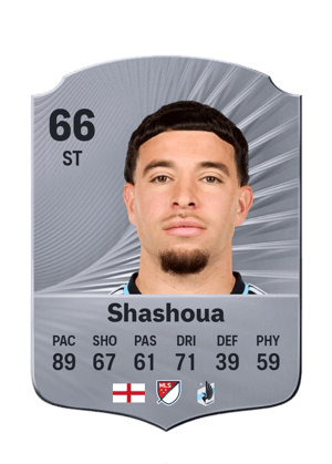 Shashoua - 66 - Rare