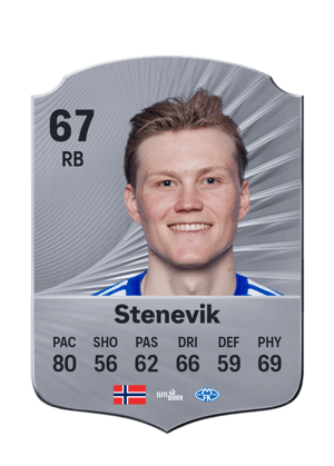 Stenevik - 67 - Rare
