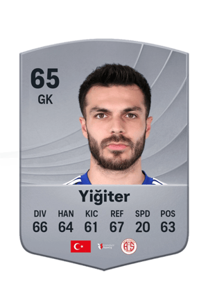 Yiğiter - 65 - Common