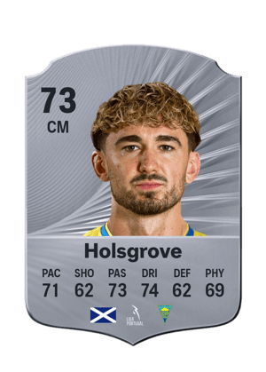 Holsgrove - 73 - Rare