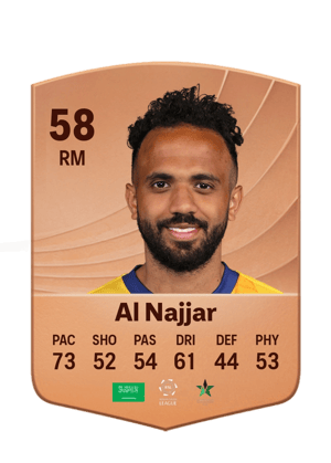 Al Najjar - 58 - Common