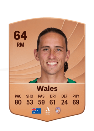 Wales - 64 - Common