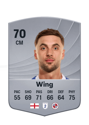 Wing - 70 - Common