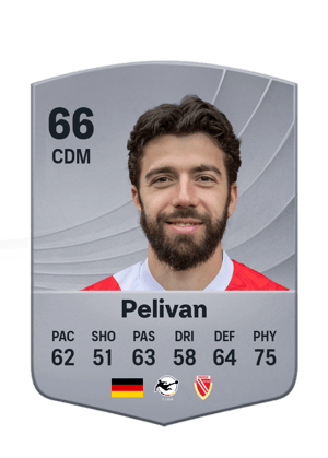 Pelivan - 66 - Common