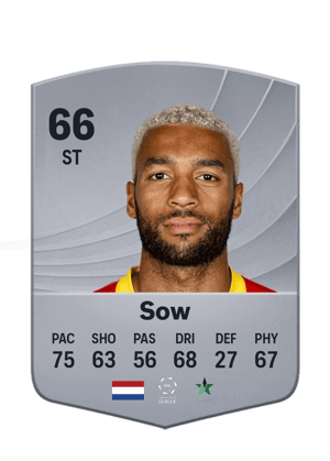 Sow - 66 - Common