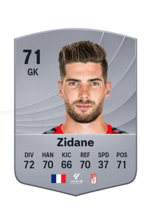 Zidane - 71 - Common