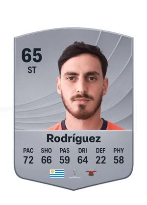 Rodríguez - 65 - Common