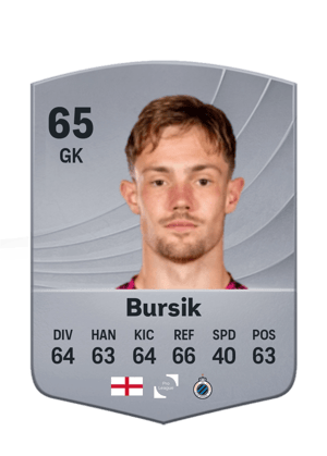 Bursik - 65 - Common