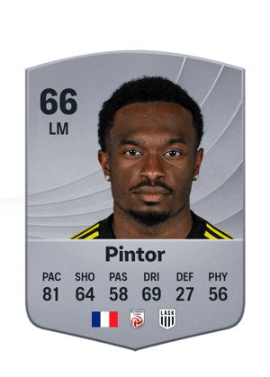 Pintor - 66 - Common