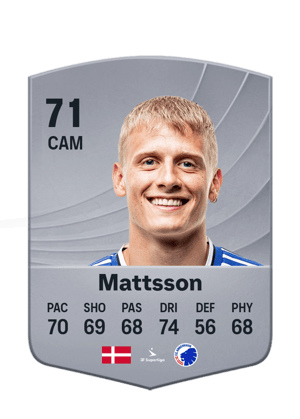 Mattsson - 71 - Common