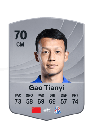 Gao Tianyi - 70 - Common