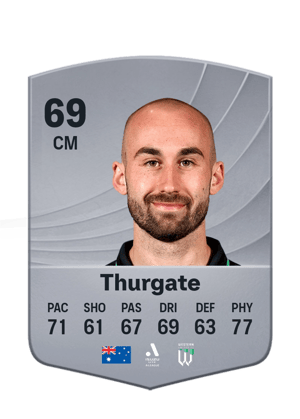 Thurgate - 69 - Common