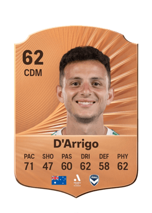 D'Arrigo - 62 - Rare