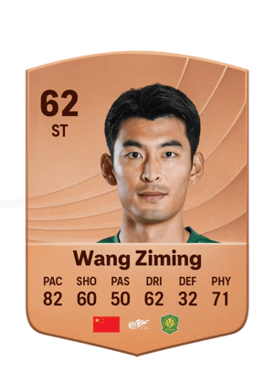 Wang Ziming - 62 - Common