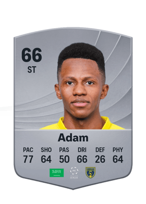 Adam - 66 - Common