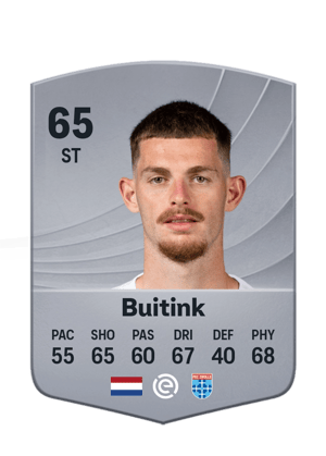 Buitink - 65 - Common