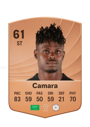 Camara - 61 - Common