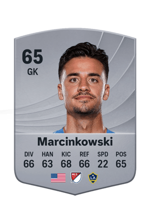 Marcinkowski - 65 - Common