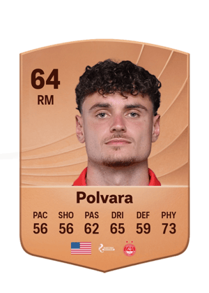 Polvara - 64 - Common