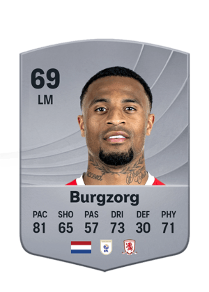 Burgzorg - 69 - Common