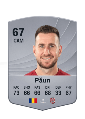 Păun - 67 - Common