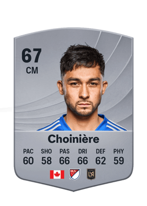 Choinière - 67 - Common