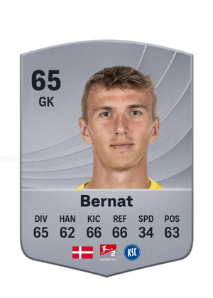Bernat - 65 - Common