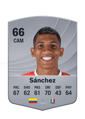 Sánchez - 66 - Common