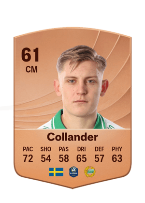 Collander - 61 - Common