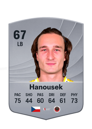 Hanousek - 67 - Common