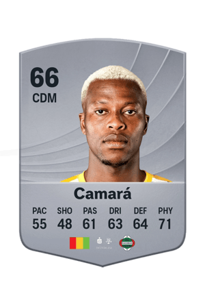 Camará - 66 - Common