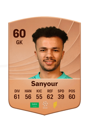 Sanyour - 60 - Common