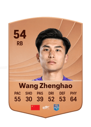 Wang Zhenghao - 54 - Common