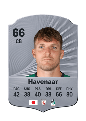 Havenaar - 66 - Rare