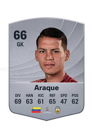 Araque - 66 - Common