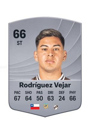 Rodríguez Vejar - 66 - Common