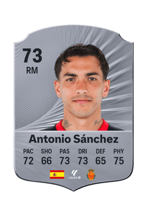 Antonio Sánchez - 73 - Rare