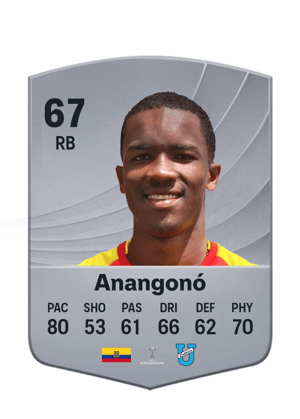 Anangonó - 67 - Common